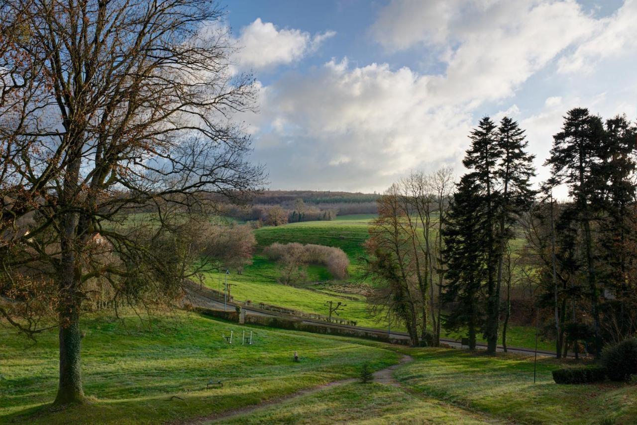 Domaine Des Myosotis, Chambres D'Hotes Saint-Honoré Buitenkant foto